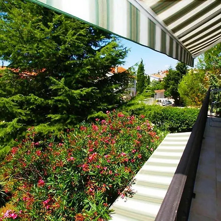 Apartmán Olive Groove *