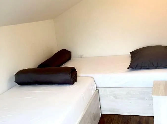 Apartmán Olive Groove