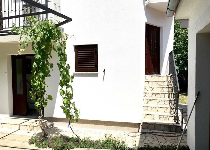 Apartament Olive Groove