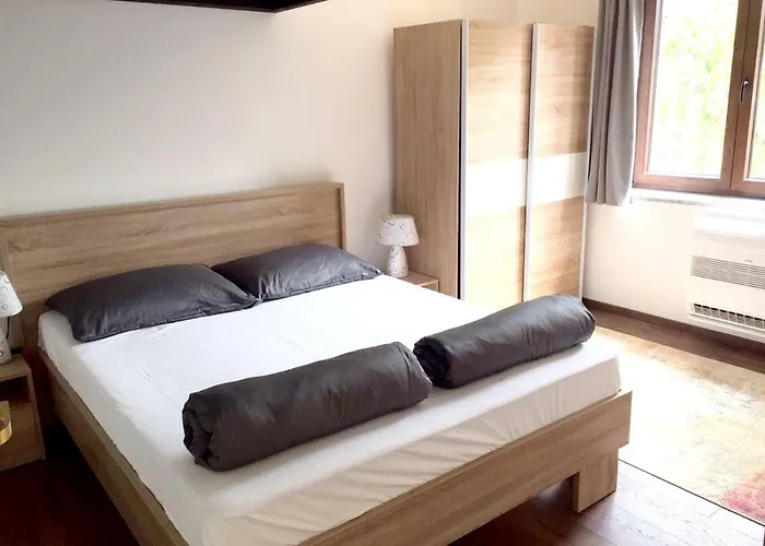 Olive Groove * Malinska