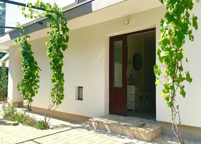 Olive Groove Malinska
